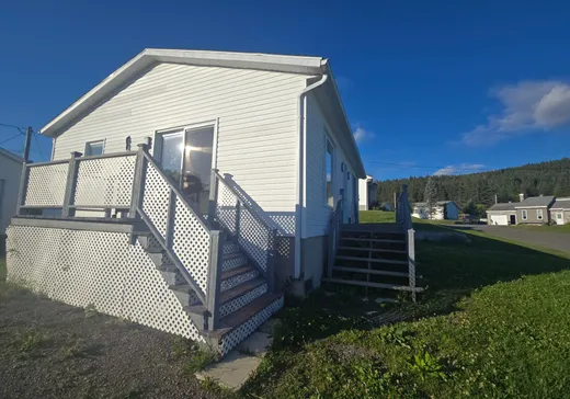 Maison à vendre - 369 Rue du Docteur-Bergeron, Causapscal, G0J 1J0