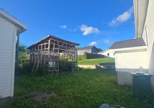 Maison à vendre - 369 Rue du Docteur-Bergeron, Causapscal, G0J 1J0