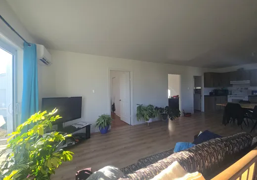 Maison à vendre - 369 Rue du Docteur-Bergeron, Causapscal, G0J 1J0