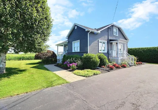 Maison à étages à vendre - 1800 Rg St-Pierre, Saint-Zéphirin-de-Courval, J0G1V0
