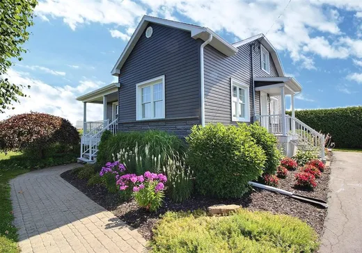 Maison à vendre - 1800 Rg St-Pierre, Saint-Zéphirin-de-Courval, J0G 1V0
