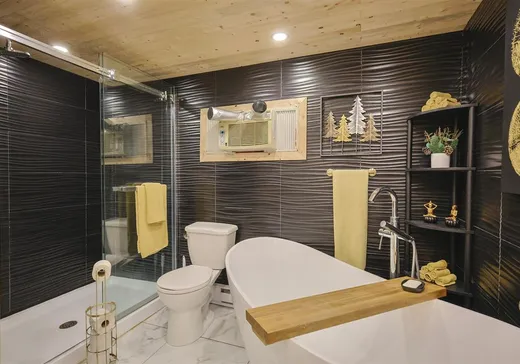 Bungalow à vendre - 106 Av. du Pont, Plessisville, G6L3Y1