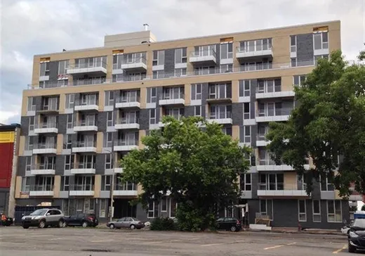 Condo à vendre - 288 Rue Ann, App. 808, Montréal (Ville-Marie), H3C0L3