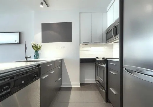 Condo à vendre - 288 Rue Ann, App. 808, Montréal (Ville-Marie), H3C 0L3