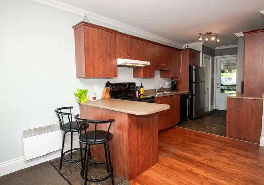 Maison à vendre - 204 Rue Olivier, Victoriaville, G6P 5G9