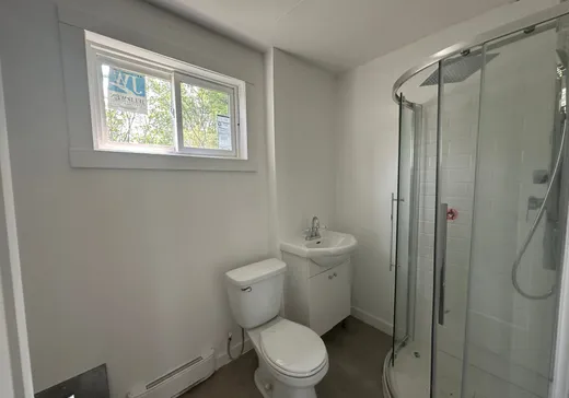 Maison à vendre - 16225 Route 335, Chertsey, J0K 3K0