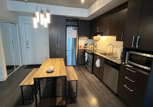 Condo à vendre - 1150 Rue St-Denis, App. 607, Montréal (Centreville), H2H 0B5