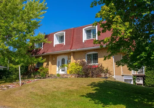 Maison à étages à vendre - 49 Rue du Filtre, Danville, J1T4G2