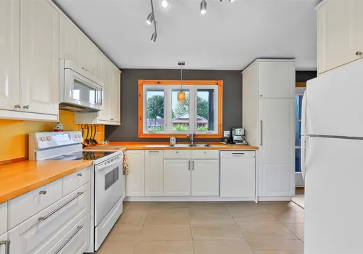 Maison à vendre - 345 Rue des Jonquilles, Massueville, J3P 7A4