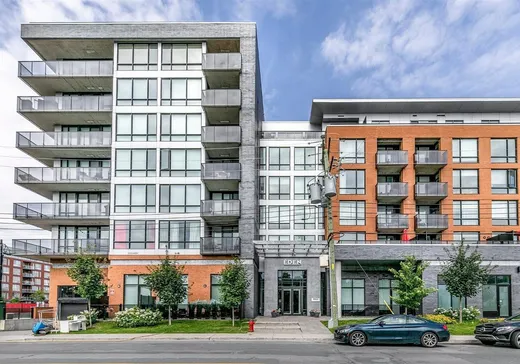 Condo à vendre - 775 Av. Plymouth, App. 505, Mont-Royal (Île de Montréal), H4P0C2