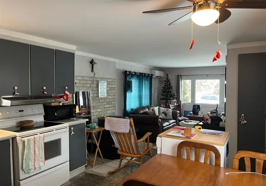 Loft à vendre - 2155 Av. Rousseau, Plessisville, G6L 2V5