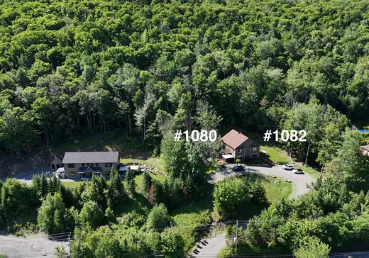 Maison à étages à vendre - 1080Z-1082Z Ch. du Grand-Ruisseau, Saint-Sauveur, J0R1R2