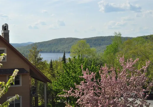 Condo à vendre - 166 Rue du Mont-Plaisant, App. 3, Mont-Tremblant, J8E 1L2