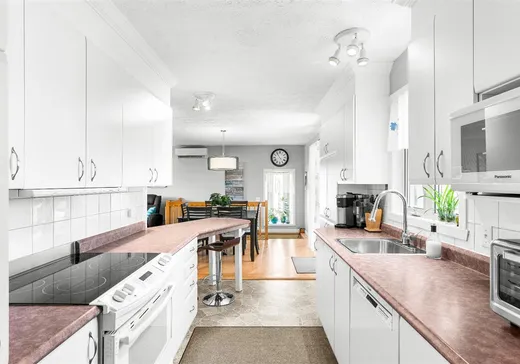 Maison à vendre - 541 Rue Monfette, Danville, J1T 4K2