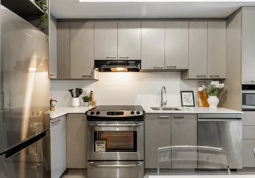 Condo à vendre - 1150 Rue St-Denis, App. 707, Montréal (Centreville), H2X 0B3