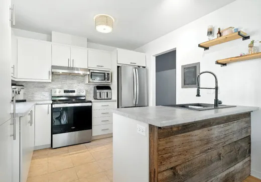 Condo à vendre - 1032 Petite Allée, Mont-Saint-Hilaire, J3H 0G8