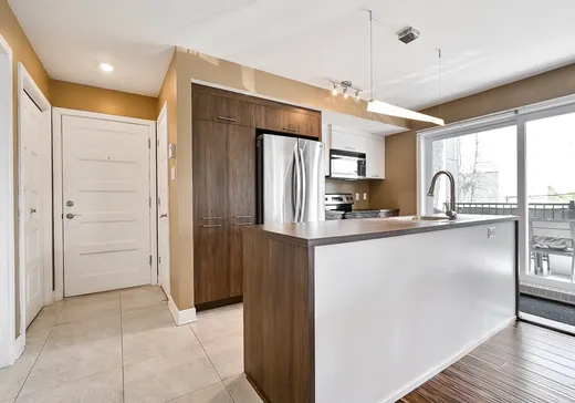 Condo for sale - 617 Rue Blain, Saint-Amable, J0L 1N0