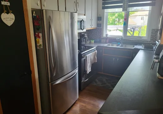 Maison à vendre - 51 Rue Mailhot, Plessisville, G6L 4H9