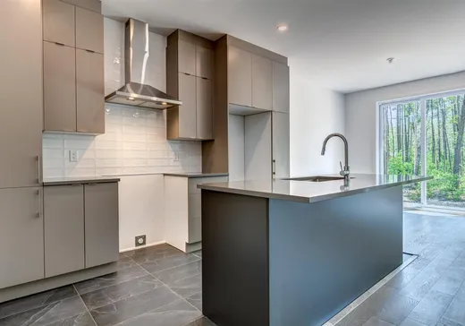 Maison à vendre - 6024 Rue de La Rochelle, Massueville, J3R 0N3