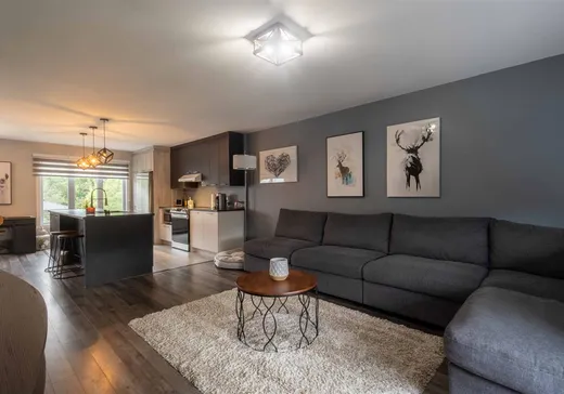 Maison à vendre - 798 Rue Neil-Tracy, Rock Forest-Saint-Élie-Deauville, J1N 1A6