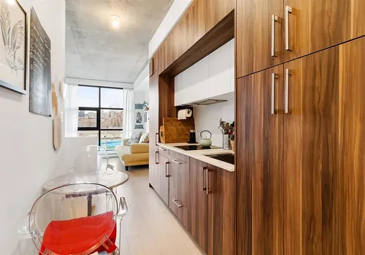 Condo à vendre - 2615 Rue Augustin-Cantin, App. A316, Montréal (Plateau-Mont-Royal), H3K 0C2