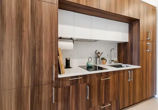 Condo à vendre - 2615 Rue Augustin-Cantin, App. A316, Montréal (Plateau-Mont-Royal), H3K 0C2