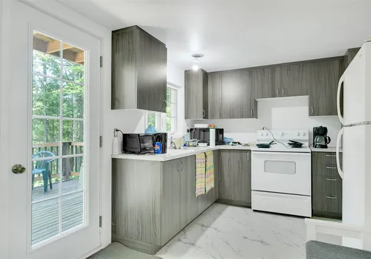 Maison à vendre - 67 Ch. du Geai-Bleu N., St-Adolphe d'Howard, J0T 2B0