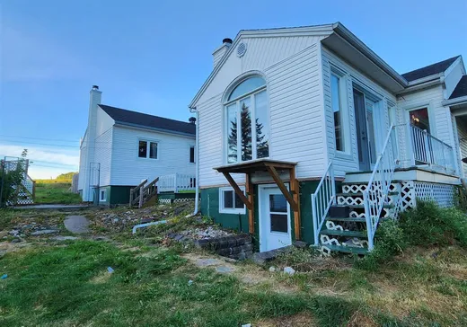 Maison à vendre - 258 Ch. Craig, Thetford Mines, G6H 2N7