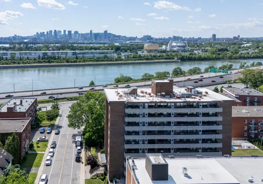 Condo for sale - 6 Av. Argyle 601, Longueuil, J4P 2H5