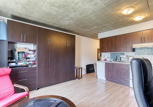 Condo for sale - 125 Rue Ontario E., App. 507, Montreal (Downtown), H2X 1G9