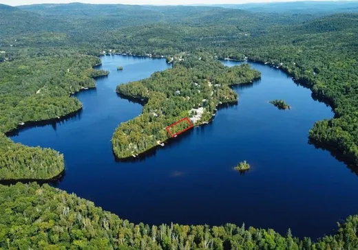 Maison à vendre - 500 Ch. des Fondateurs, Lac-Saguay, J0W 1L0