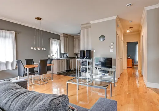 Condo à vendre - 683 Rue St-Timothée, Montréal (Centreville), H2L 3N2