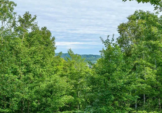 Condo à vendre - 174 Mtée Victor-Nymark, Labelle, J0T 1R3