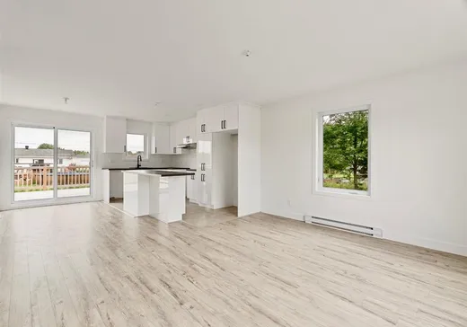Maison à vendre - 118 Rue Siméon-Charland, St-Pierre-Les-Becquets, G0X 2Z0