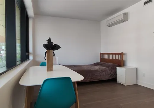 Condo à vendre - 1 Boul. De Maisonneuve O., App. 420, Montréal (Centreville), H2X 0E3