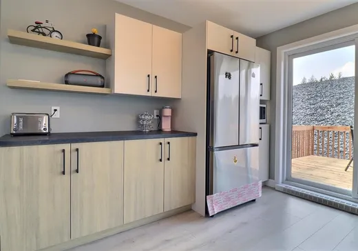 House for sale - 2059 155e Rue, Montreal (Downtown), G5Y 5X8