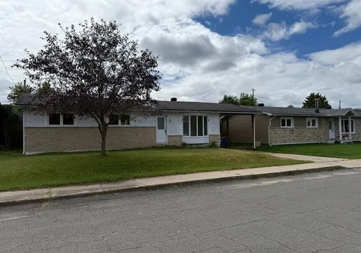 Maison à vendre - 10 Rue Jean-Talon, La Tuque, G9X 3J5