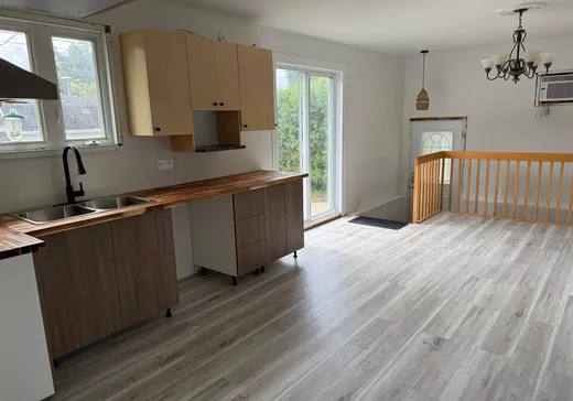 Maison à vendre - 10 Rue Jean-Talon, La Tuque, G9X 3J5