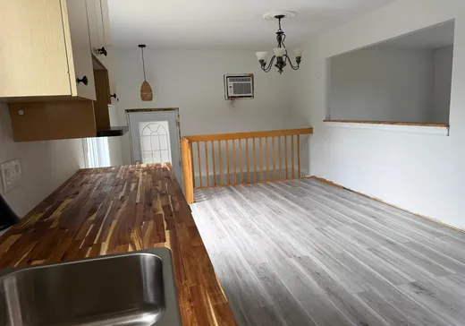 Maison à vendre - 10 Rue Jean-Talon, La Tuque, G9X 3J5