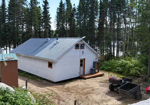 Maison à vendre - 48 Lac Lepage, La Tuque, G9X 0A7