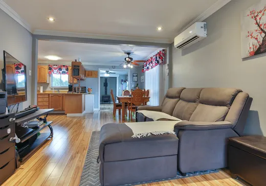 Maison à vendre - 91 Rue Beaver, Saint-Georges-de-Clarenceville, J0J 1B0