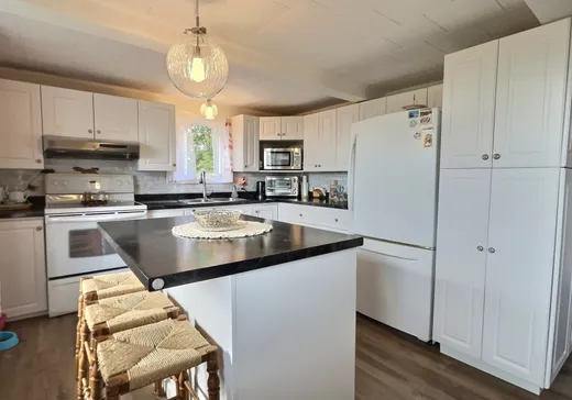 Maison à vendre - 199 Rg Ste-Cécile, Sainte-Cécile-de-Lévrard, G0X 2M0