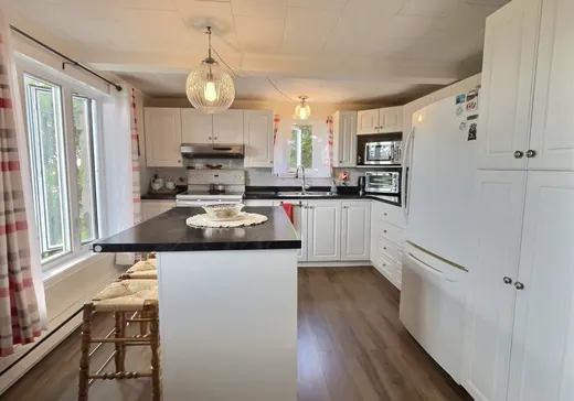 Maison à vendre - 199 Rg Ste-Cécile, Sainte-Cécile-de-Lévrard, G0X 2M0