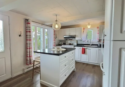 Maison à vendre - 199 Rg Ste-Cécile, Sainte-Cécile-de-Lévrard, G0X 2M0