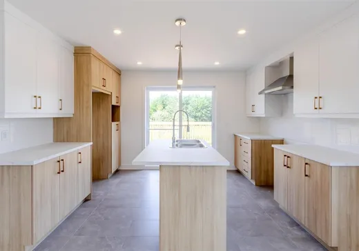 Maison à vendre - 119 Rue Simoneau, Lyster, G0S 1V0