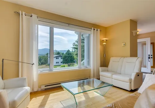 Maison à vendre - 240 Ch. Harvey, Sutton, J0E 2K0