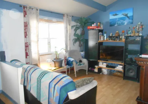 Maison à vendre - 745 Route 309, Mont-Laurier, J0W 1J0