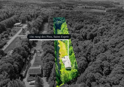 Maison à vendre - 136 Rg des Pins, Saint-Esprit, J0K 2L0