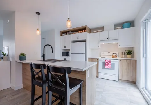 Maison à vendre - 24 Rue des Voltigeurs, Pont-Rouge, G3H 0H8
