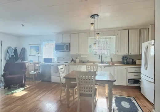 Maison à vendre - 398 Rue St-Désiré, Black-Lake, G6H 1L5
